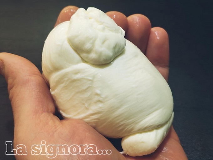 Nodino fior di latte Nodino fior di latte